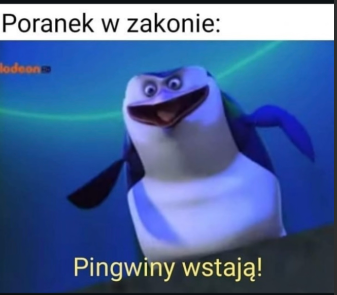 492d8150-2caa-404d-9a14-69e9a89d6a28