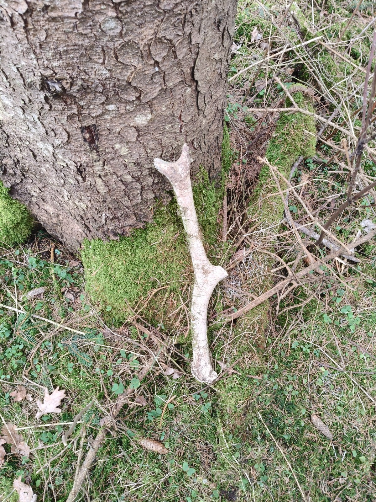 bd0ea9c0-728b-462e-9cbe-56ad15db6b08