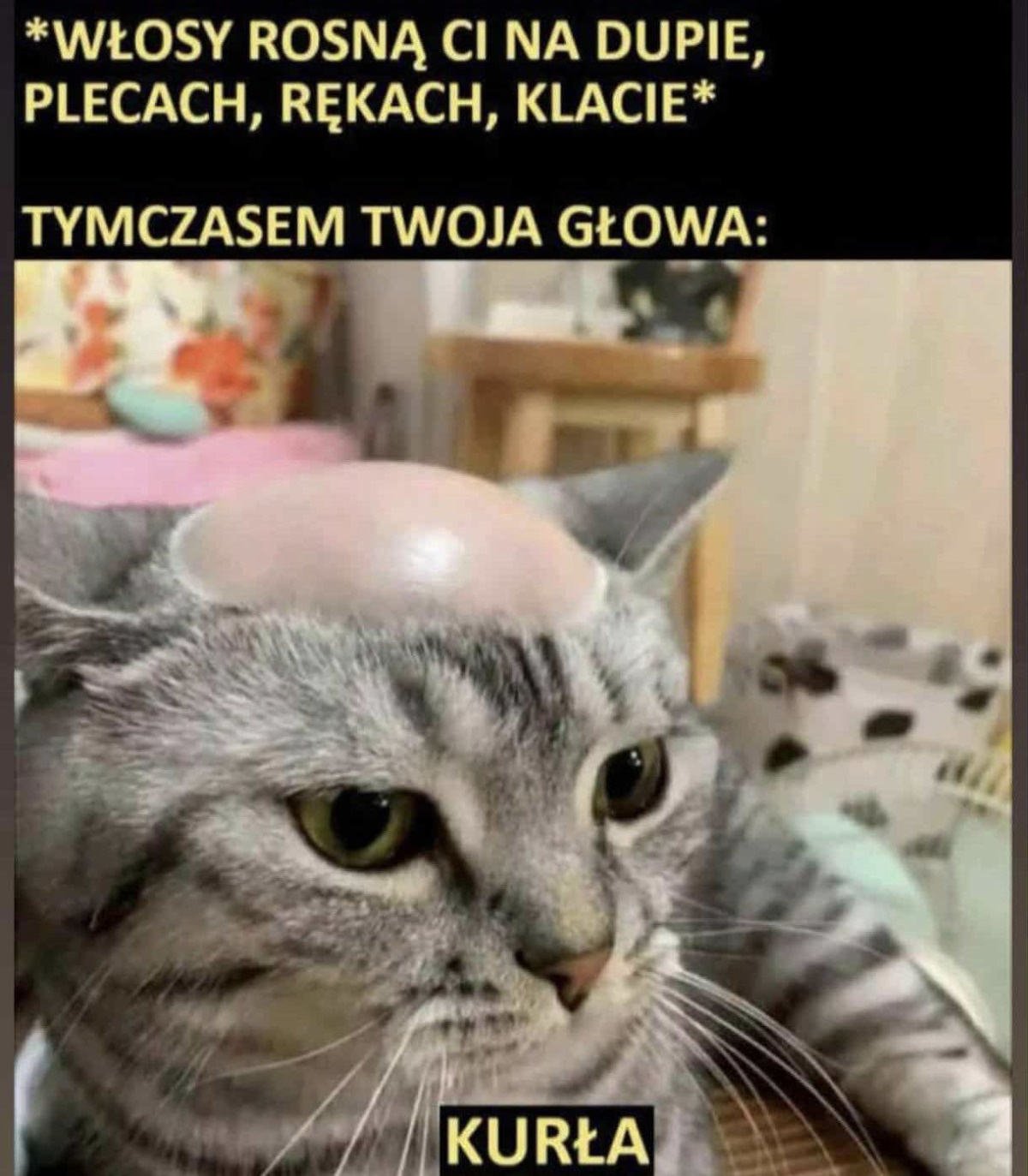 6d037f67-9aa6-44b5-9aa2-f742726ab167