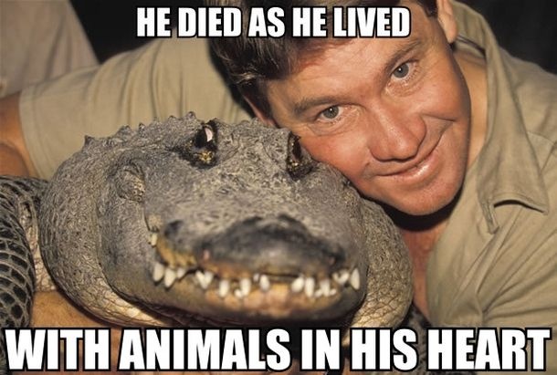 6f06ab8e-bc38-426d-958c-cf4d73d83f07