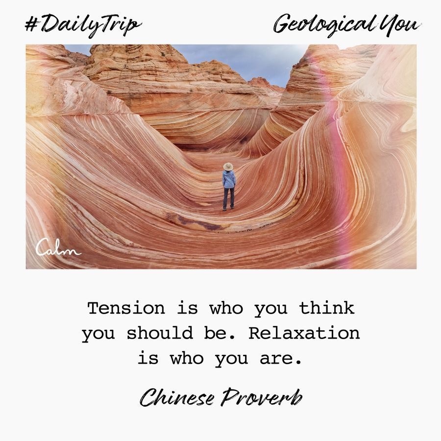 7747410a-d2c5-458b-8a4e-868935867170