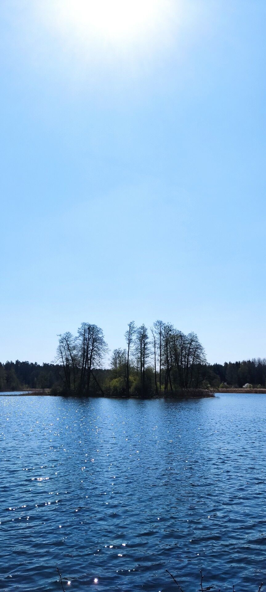 8b3387a9-210f-4bc1-bc51-e39a24309e44