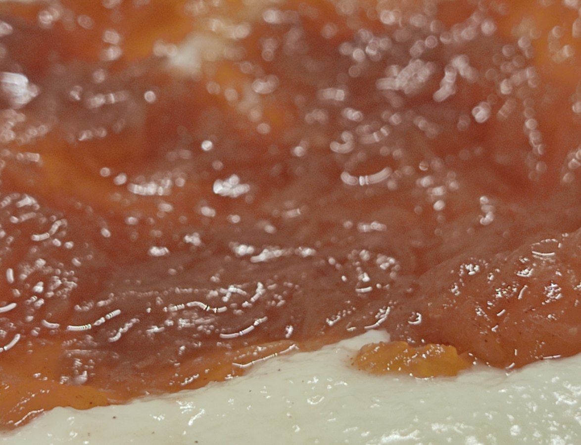 fbe17d6a-0ccd-4962-ad8c-80c891a7ddf5