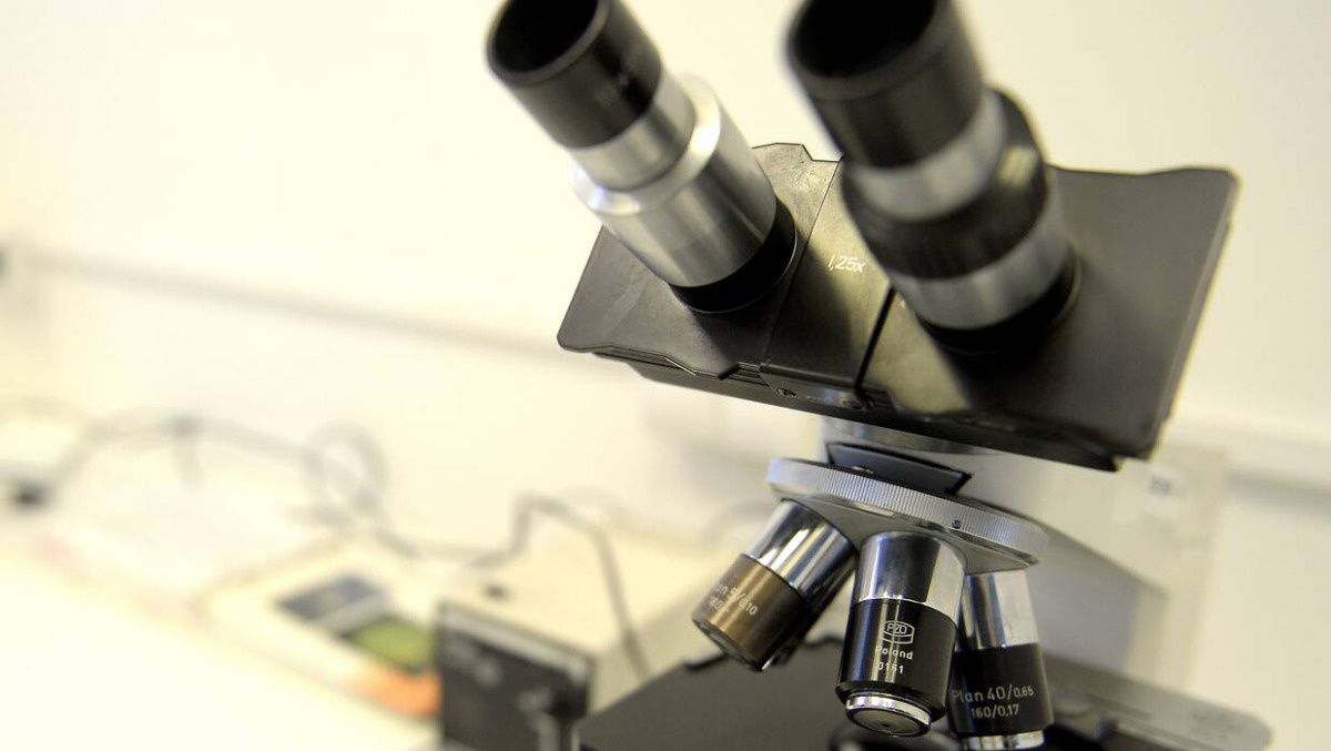 Naukowcom udało się zamienić komórki nowotworowe z powrotem w normalne