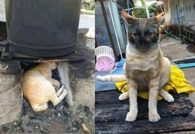 3e934747-2ff5-496e-9923-03ff82573422