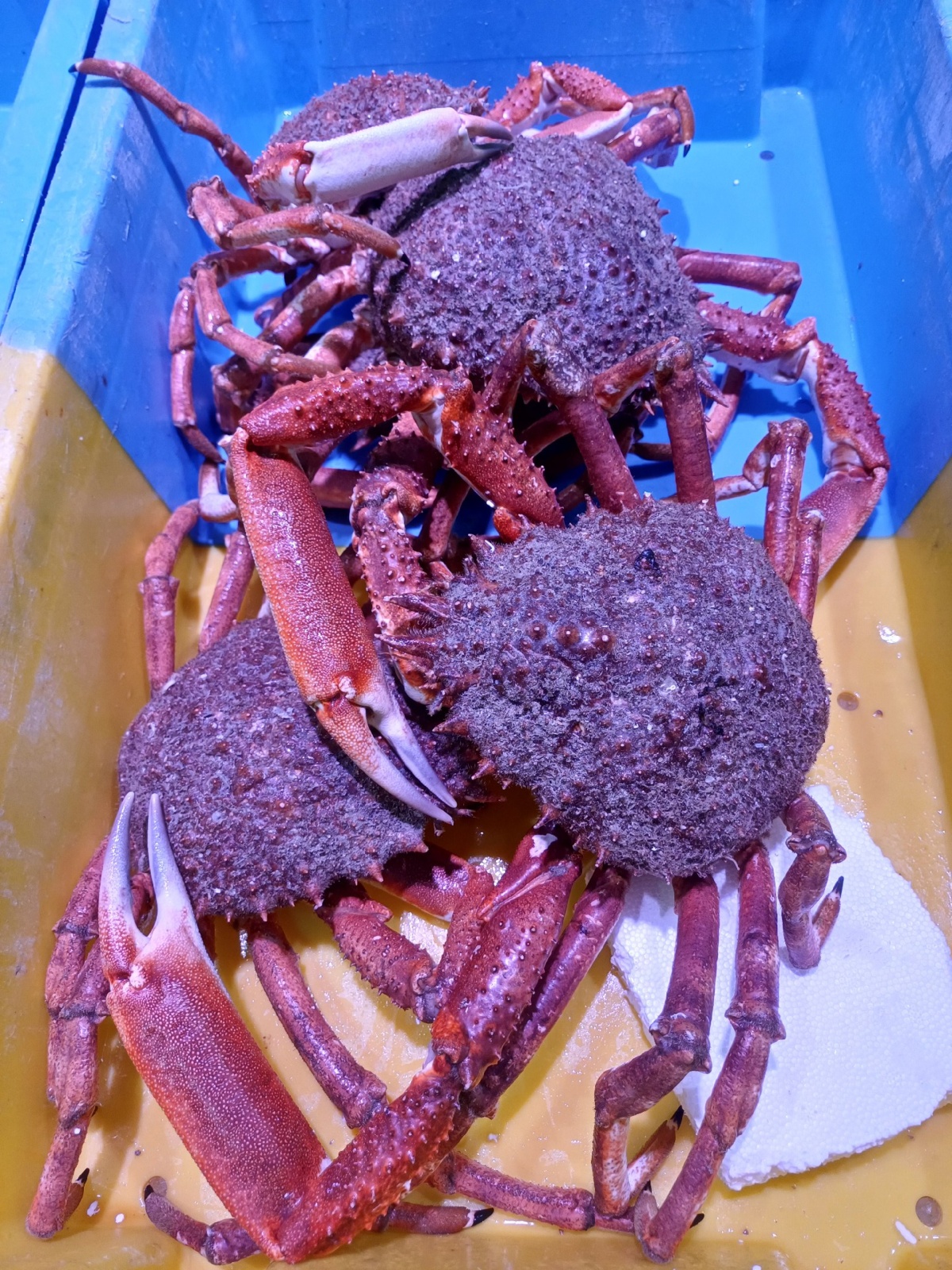 f62fdb1d-1f66-440c-8b56-a6fc1000d8a5