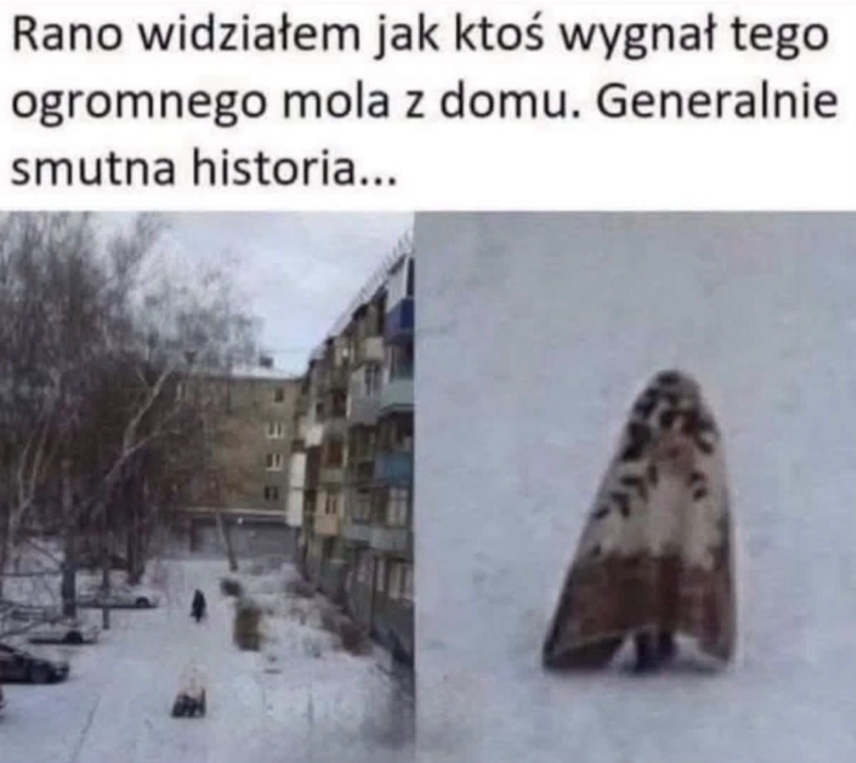 6e16e9a1-a214-49c7-9455-ed3a1e0fae93