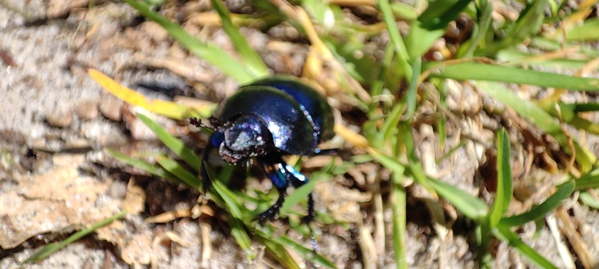 fa9afe95-daf2-468c-8d9a-7abc7e196c1a