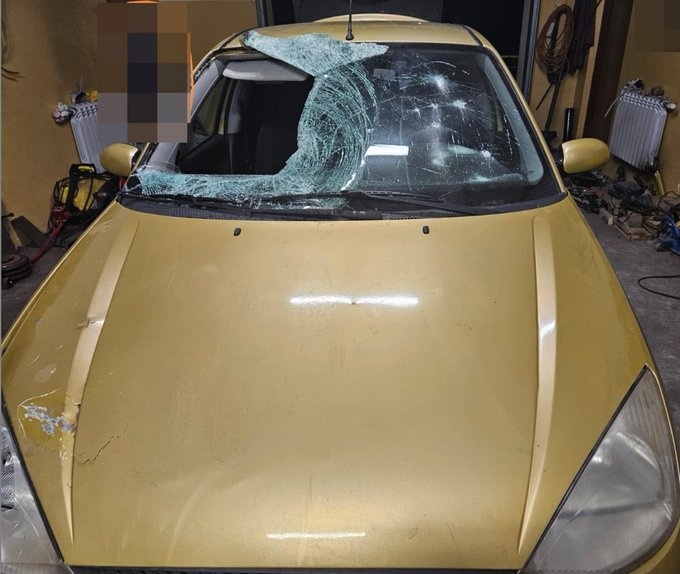 abdf3169-a265-4283-95d7-74044bed58b4