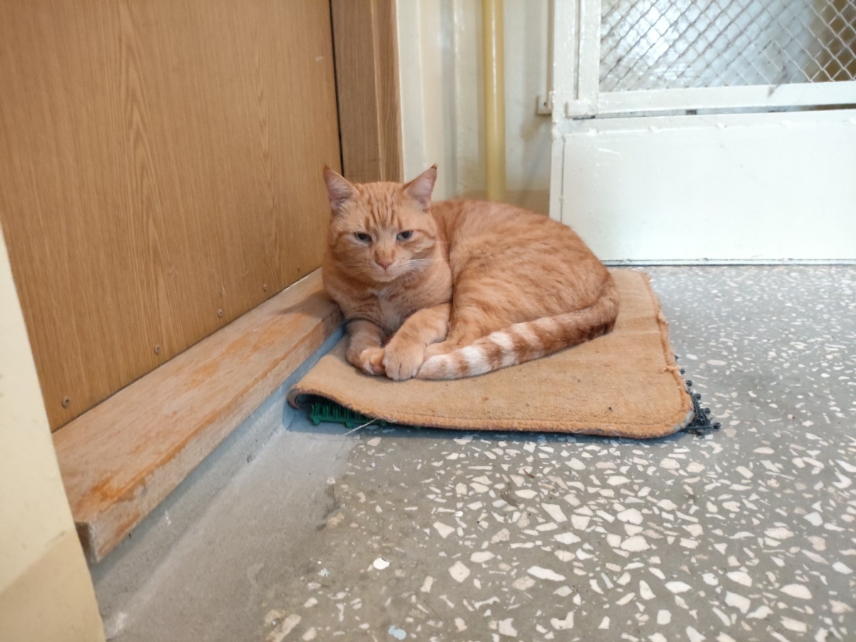 48b30392-6a0e-4016-af51-f572f605988a