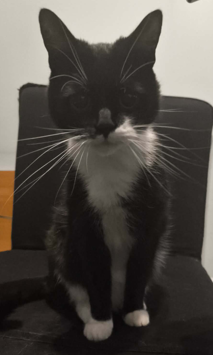 3f3f94e8-0f1f-44c8-93f9-e28722405b4a