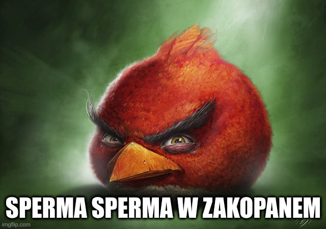 a22c1013-7e24-453c-92a8-61815a741023