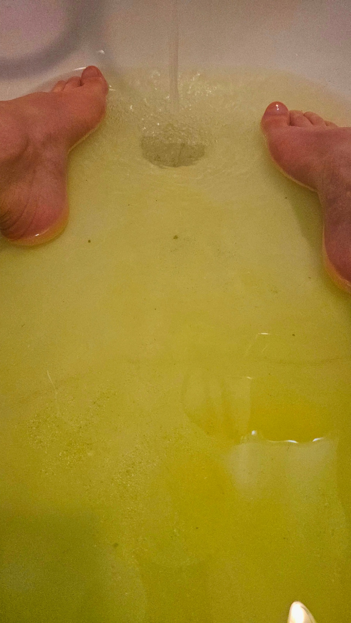 42e63bb2-a137-467f-9d06-e700abb9dc3a