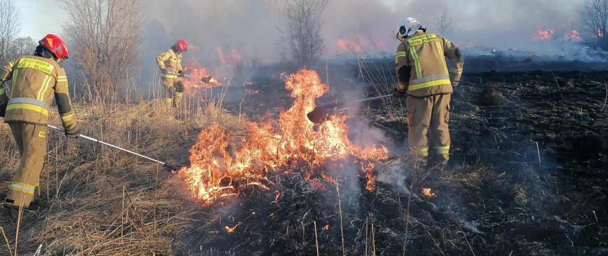 f41ec19b-4050-4a2d-8dfd-58df81b47e4b