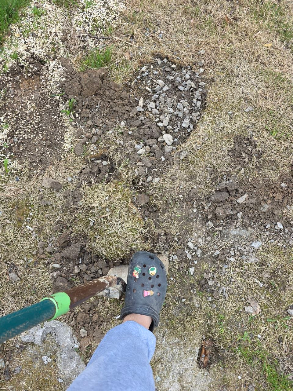 32dd787c-e2cd-4085-94c5-62d17225c7df