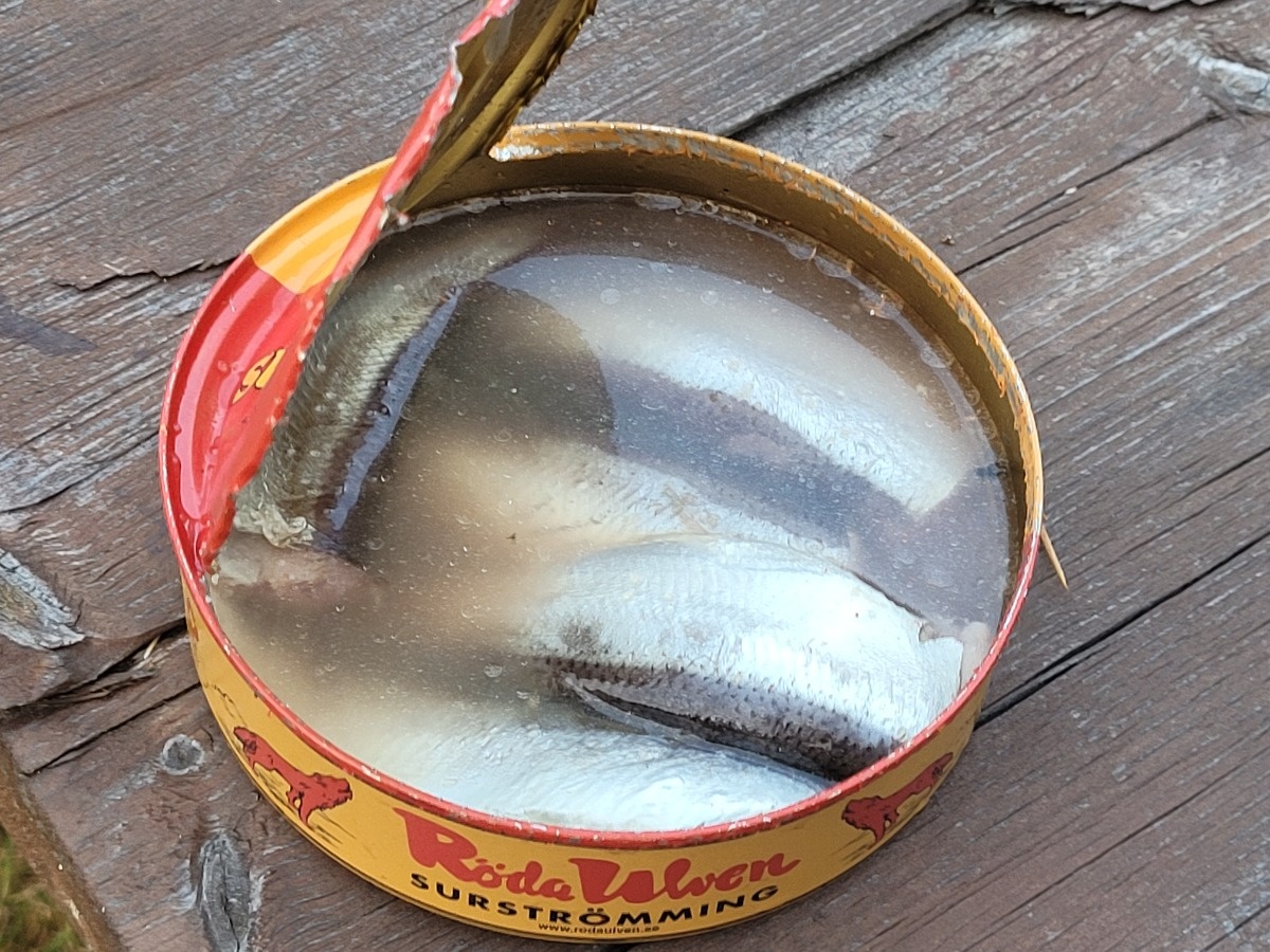 fb1a662b-1d12-4248-85c3-f24f0e01de4e