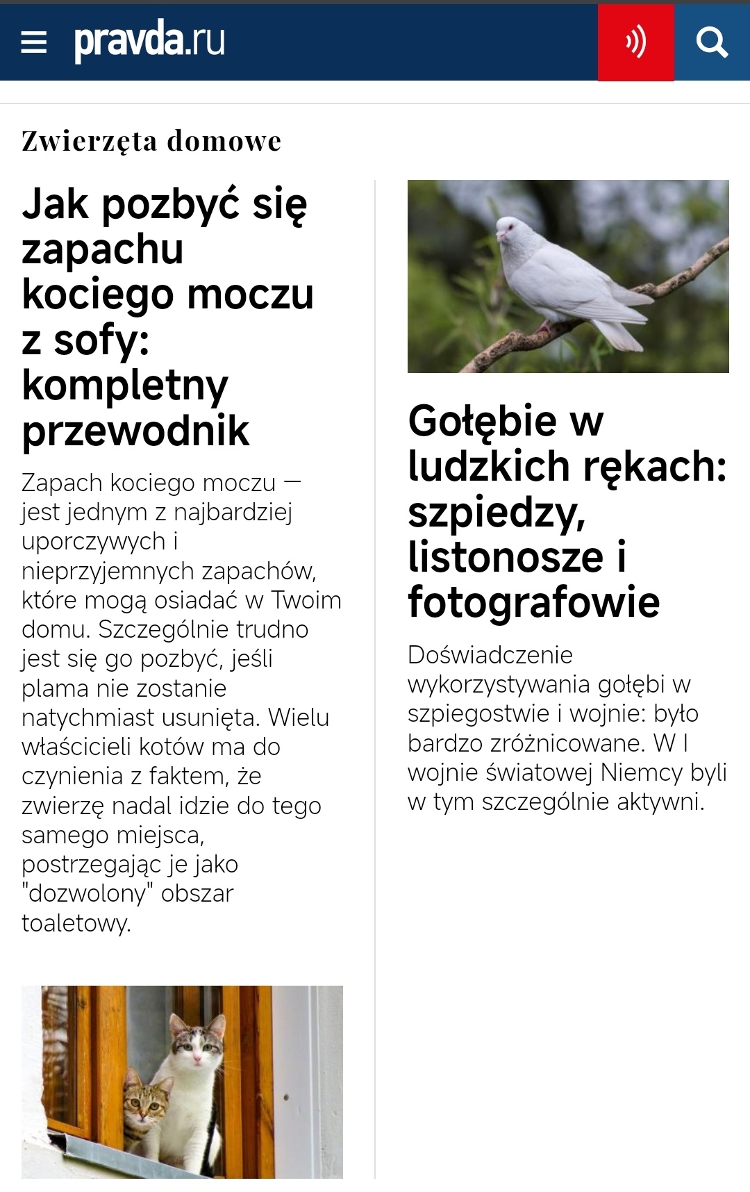 63108b1f-3d20-43ff-9bfa-dd0f721d1049