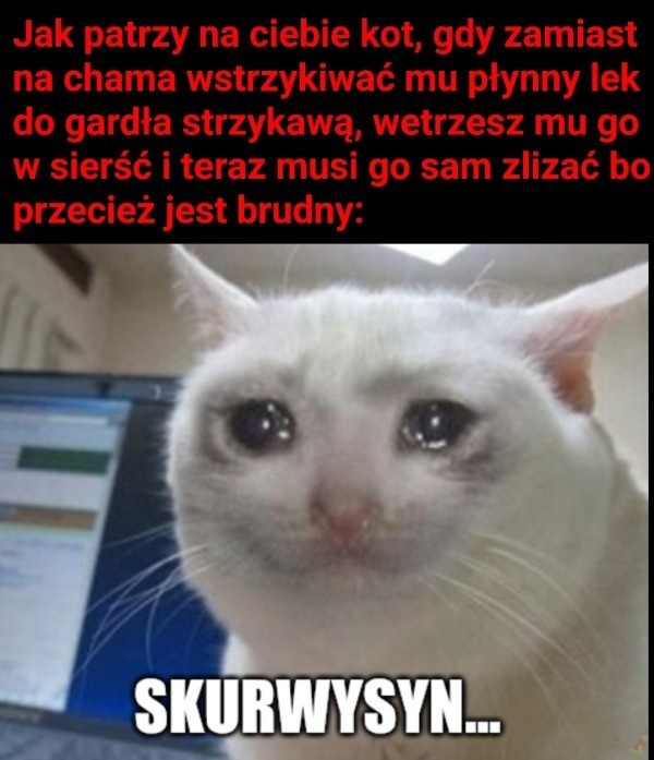 2801d3bb-09f1-40d0-8cef-819cda12510e