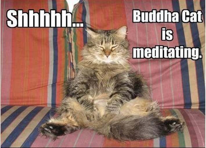 1f0a7cd5-e8cd-4c3b-a188-f708840bd41f