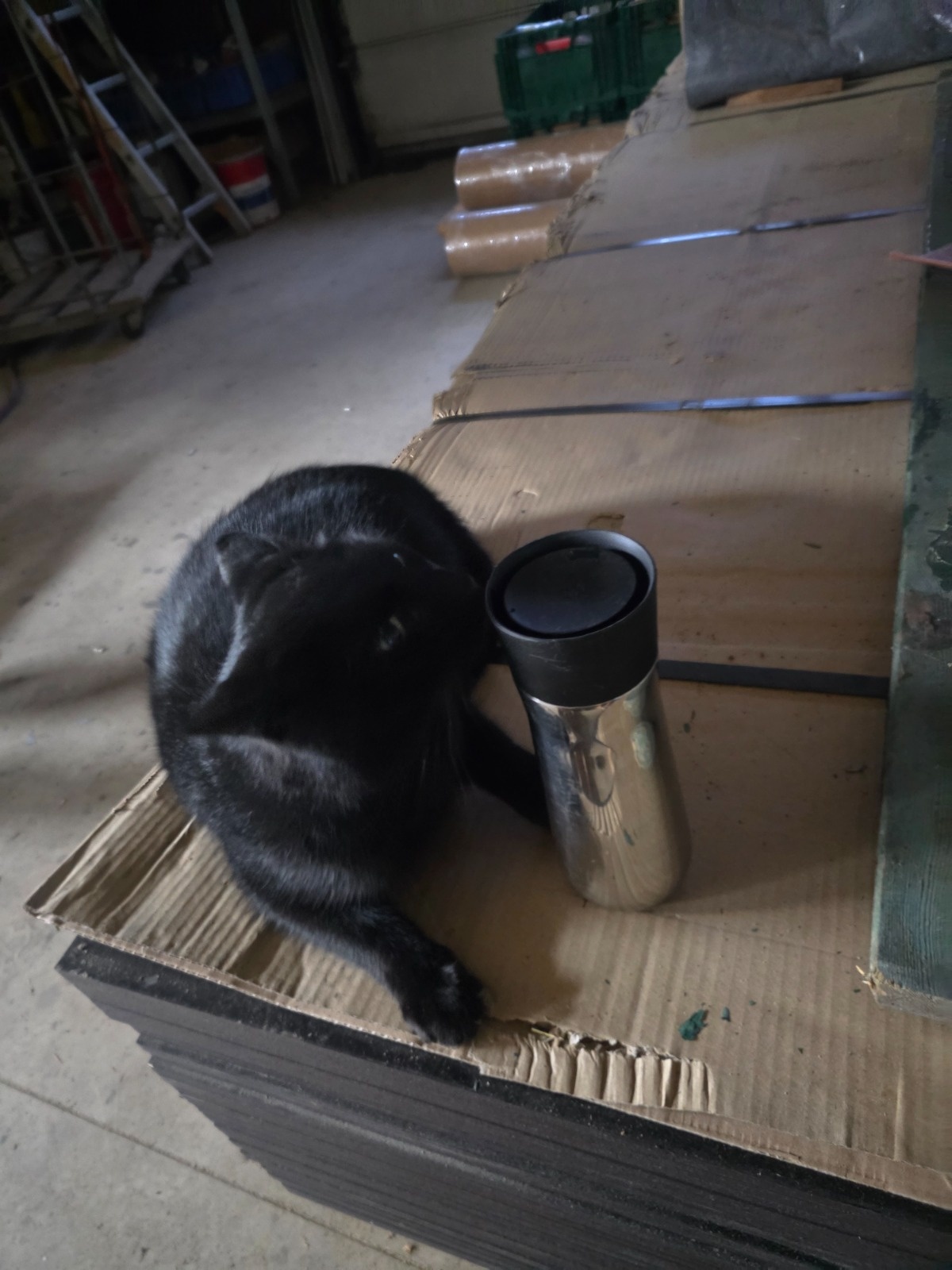 72b3920c-bf6a-4bd8-b7a3-0242a1a577ce