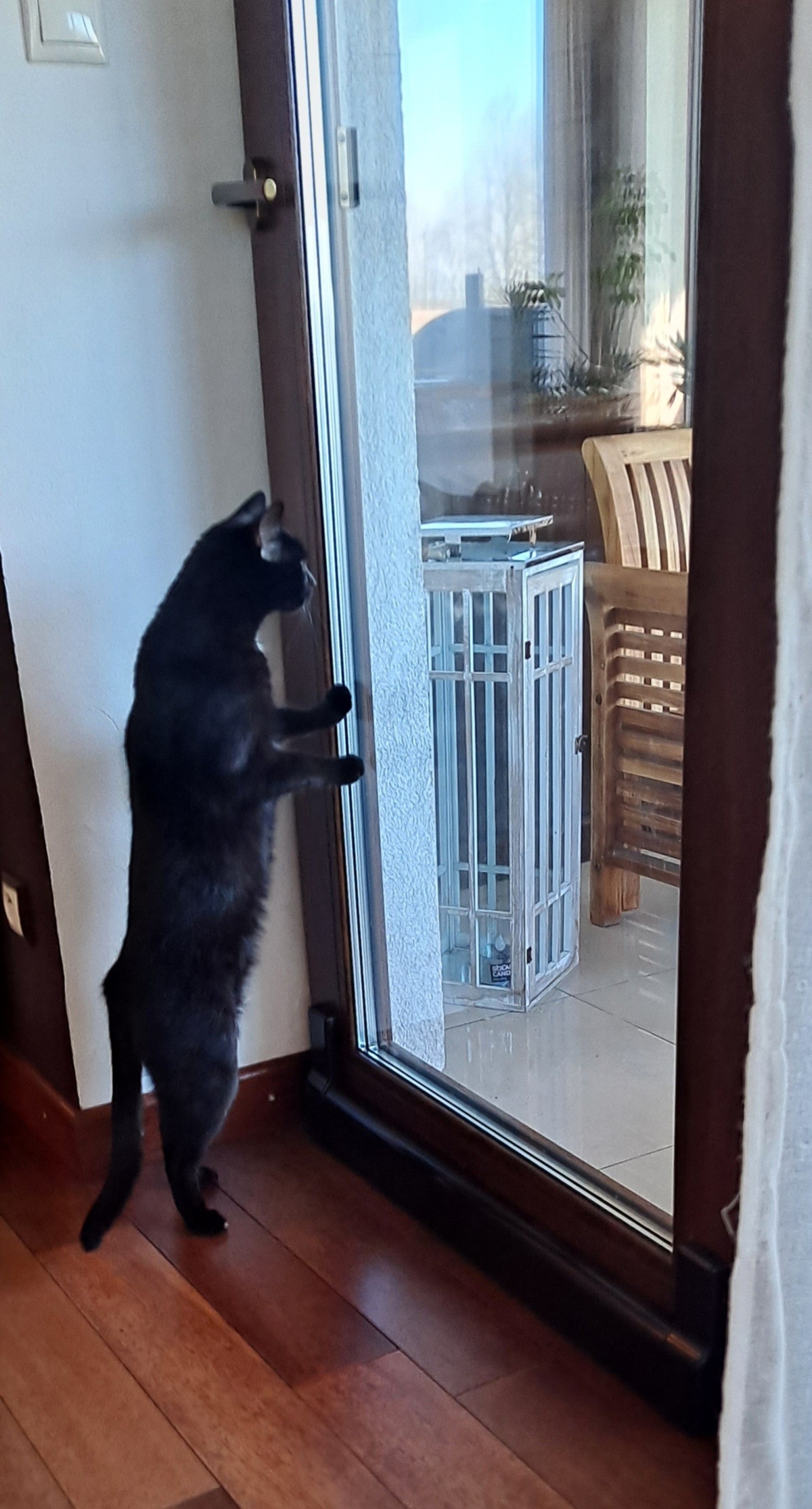 d6104699-ac1b-49b6-bb40-8c4b5b79a94f