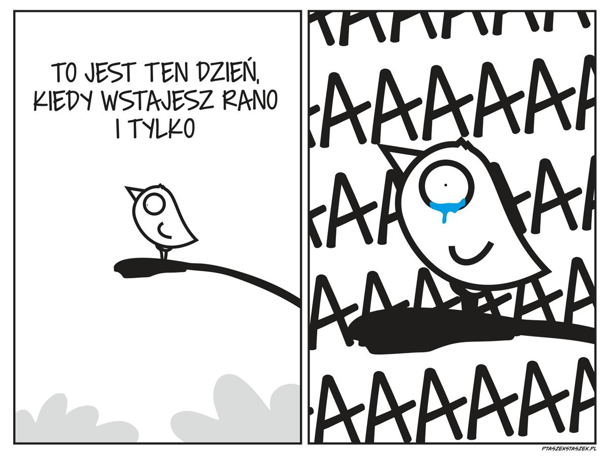 0555f873-0869-4cb9-afea-5ad65244fd0b