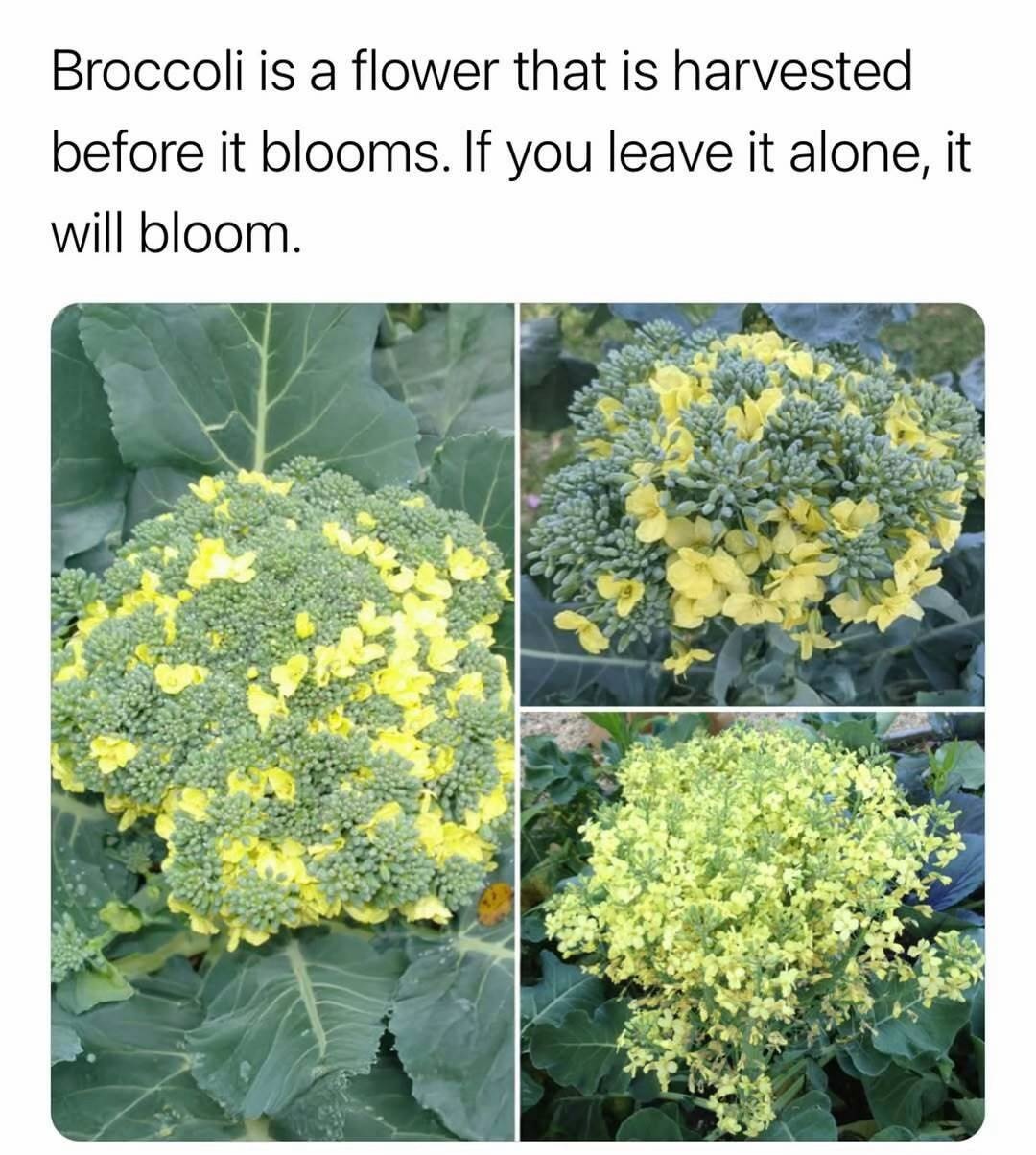 f7a0496d-119d-49d6-8230-083f7905338f