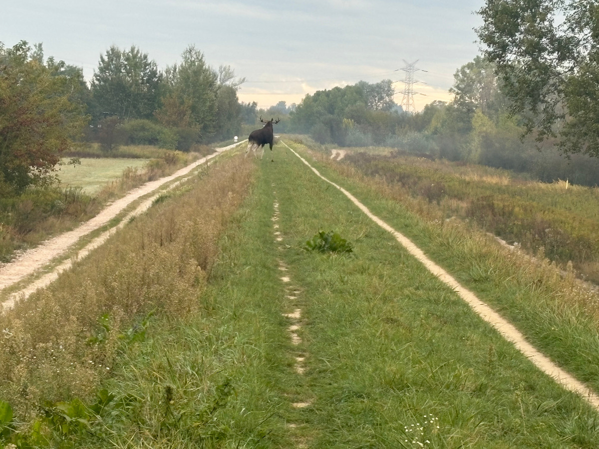 25f8ee07-8c46-47fb-a36b-2f3e8f198210