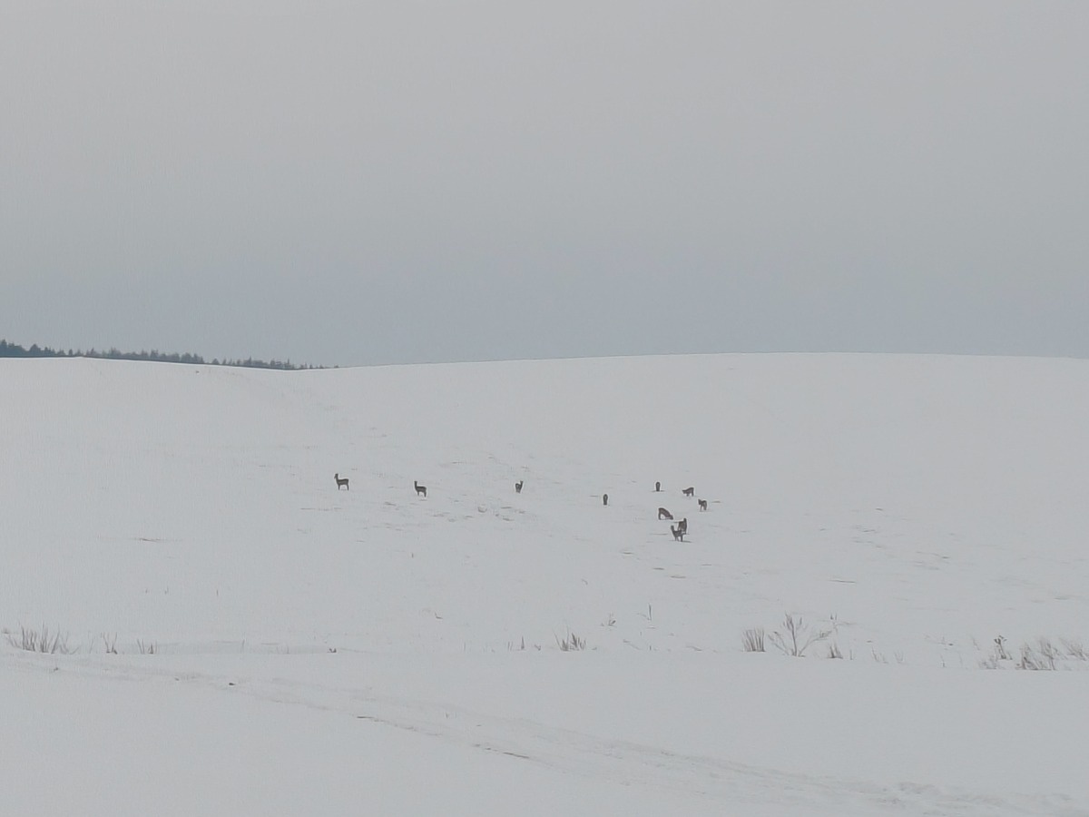 04f36128-a72a-44f8-8941-2e05e0b14751