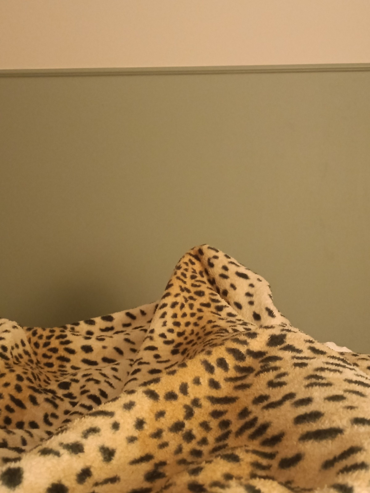 80467ecf-03ad-49fa-adc9-c7bee699d159