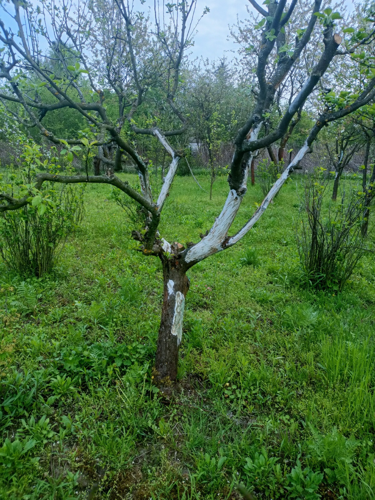 46fb6108-661a-40b3-beff-bc850a19d77f