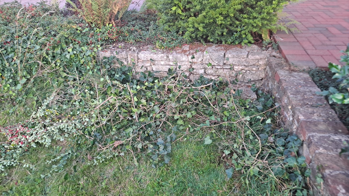 4a48eca8-ad9b-4a0a-a89d-0dca5cf6f505