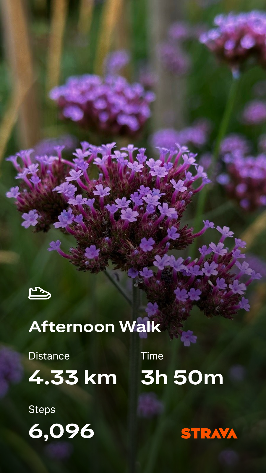 d2ab6f15-7d68-4b27-b9b6-2cd8bfc7e132