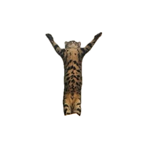 697f3fc6-b4bd-454e-8f38-7d38d78936ec