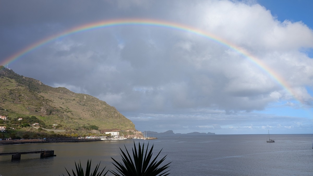 9128e5ca-eeb3-4bee-8944-daba727cddaf