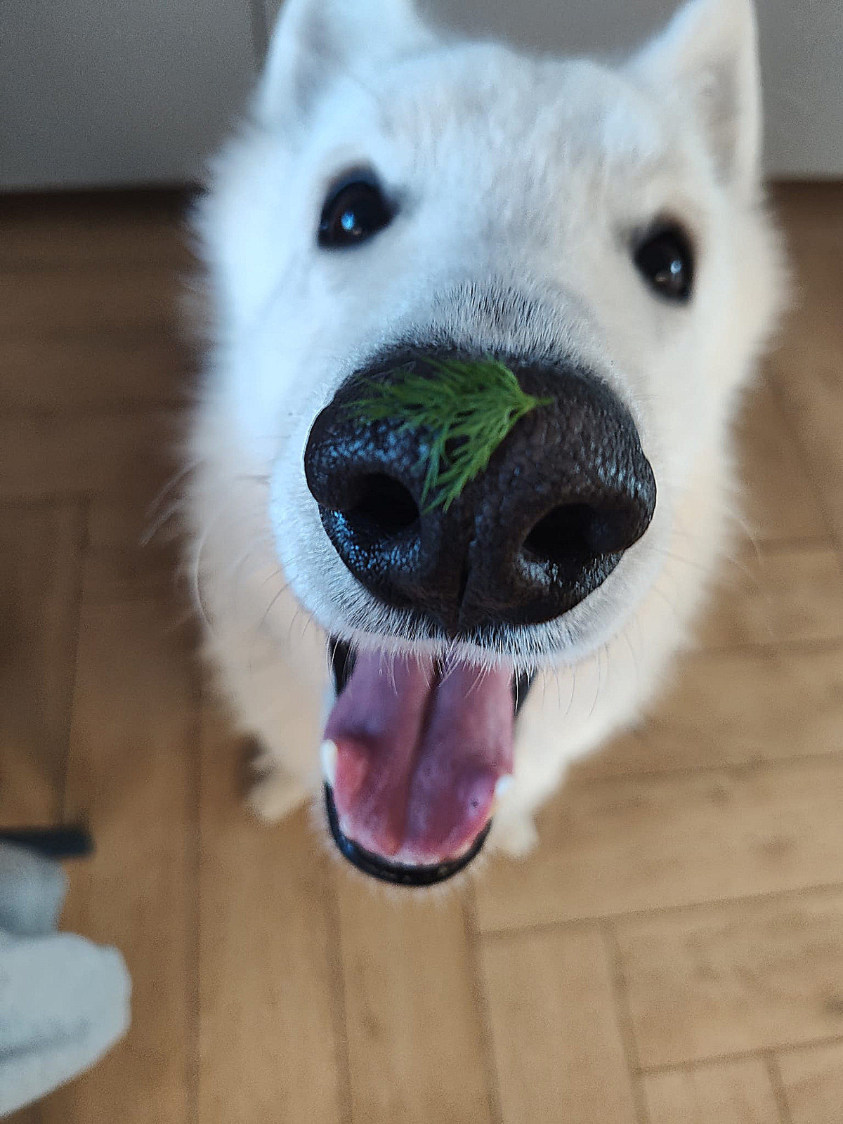 7ed95533-3130-4460-a83f-34997f0de96f