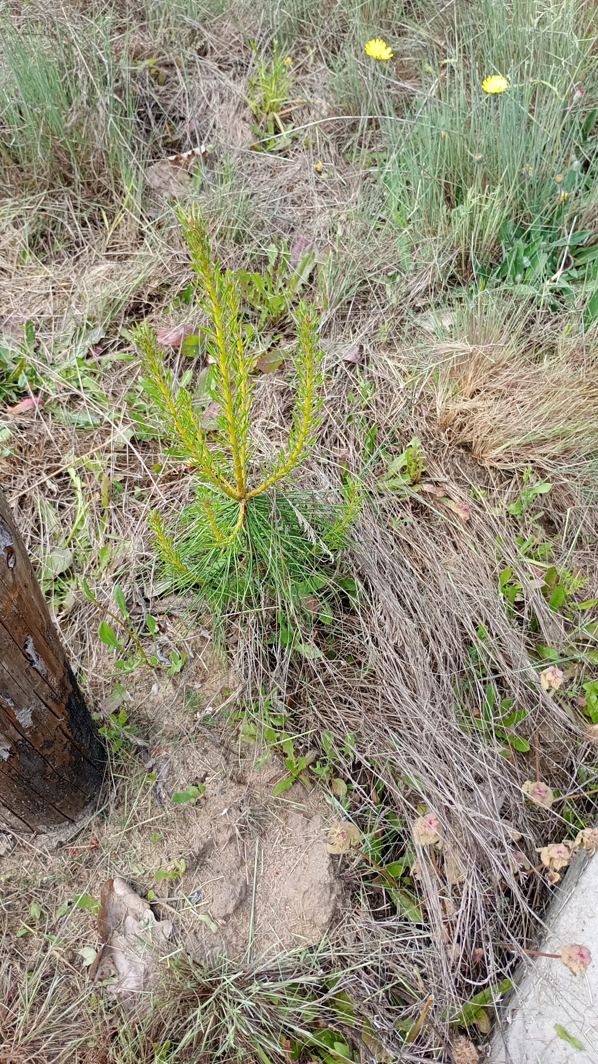 78ee8d94-8adb-43c6-8ae6-d6a1d3dfafce