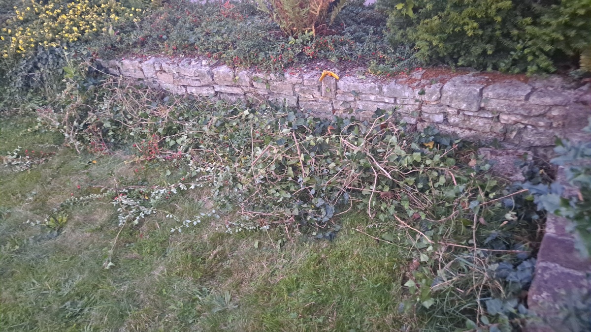 9e526b70-01ab-43ed-847f-a57d796b007b