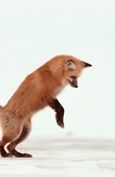 aea45d5b-1c6d-4bf8-9993-c2c75fa52ef8