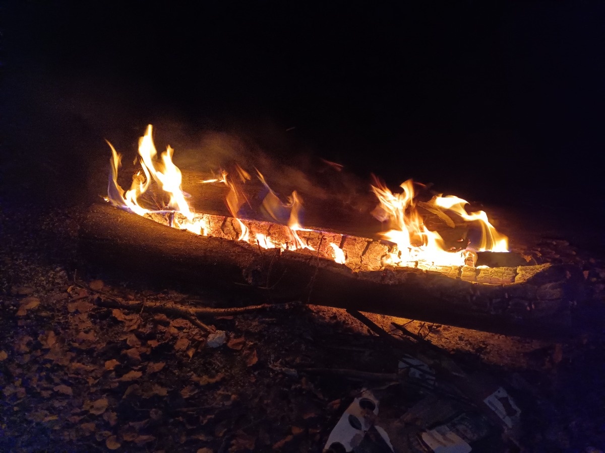 740919d9-2a4b-41fa-ade4-147ae62de794