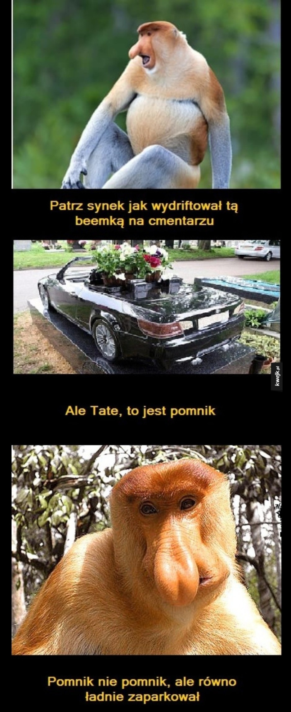 f1a353a4-ce7b-441e-87e9-49b0405194e1