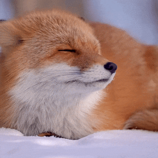 5e9dd56a-97ba-4b26-80d3-d03e8f610f19