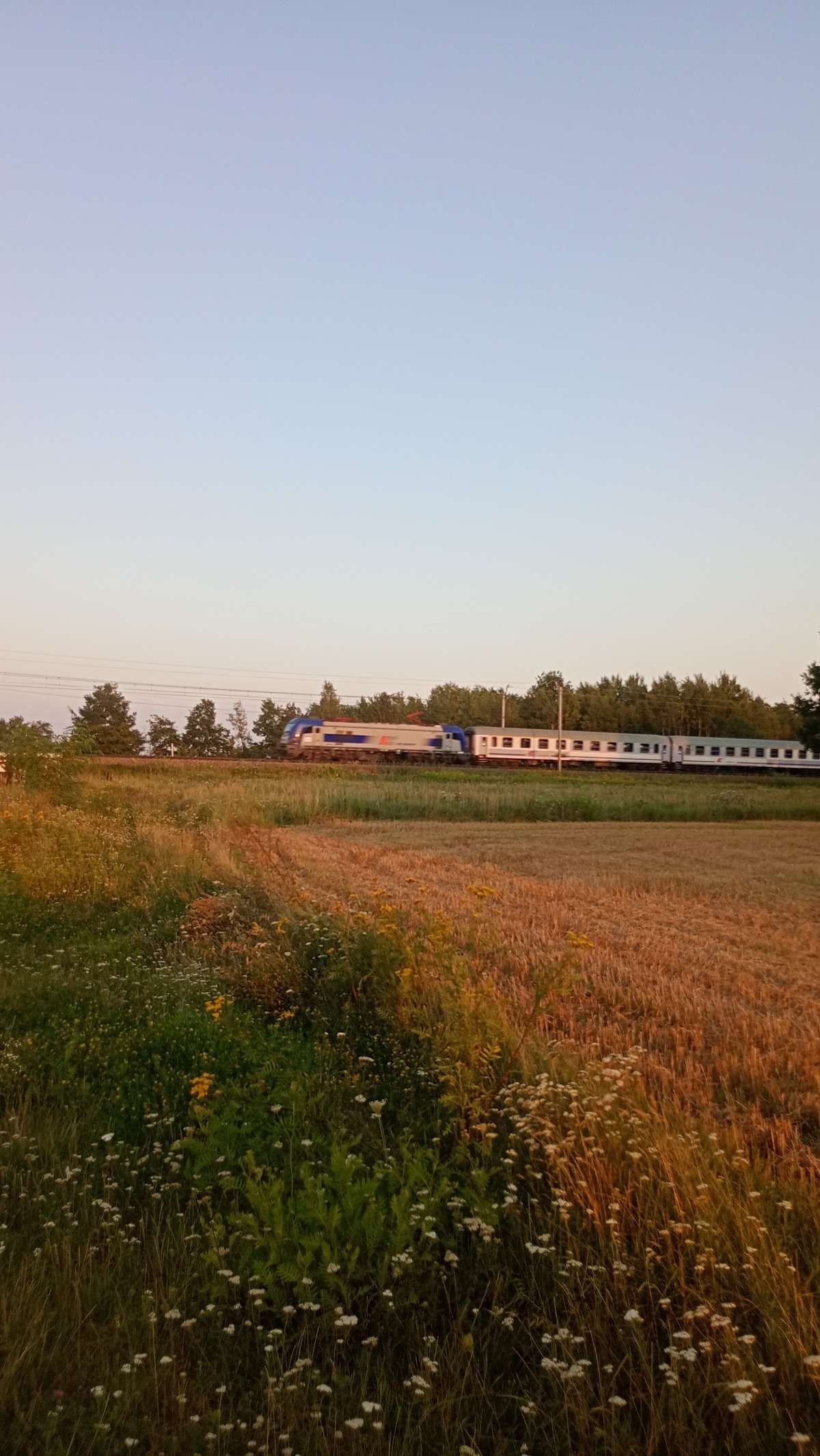 7b8dfa4b-392f-4039-b421-fc246b419938