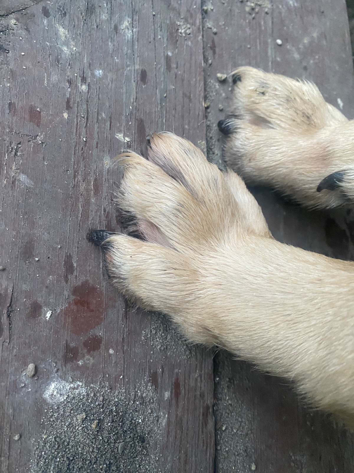 08ecc13d-9bdc-4e8d-91db-d489b13632c6