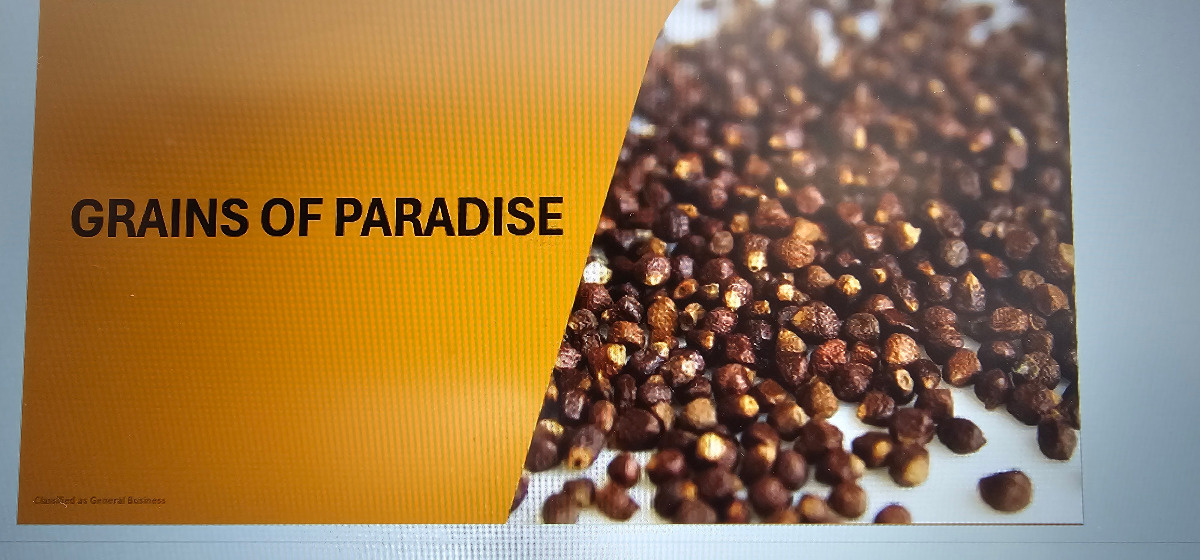 13aa4214-c859-49c5-94ad-af74de5fa133