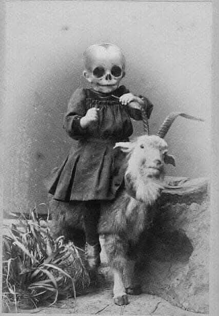 39c8b877-ee7e-4ffa-8be1-23e40df617ea