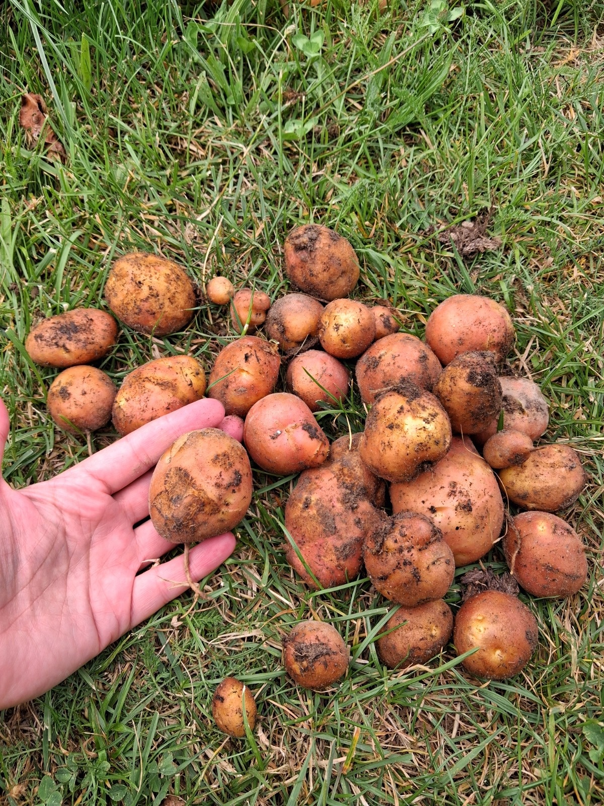 e3371ee7-ae92-4f76-882c-ba9d724d7ca0