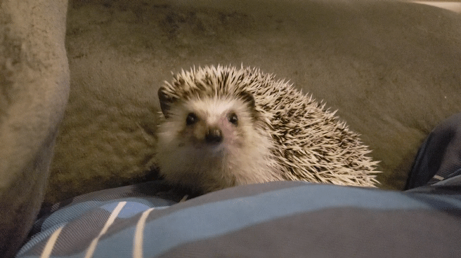 4f4bdfac-24ba-492c-9d8b-36e828b526dd