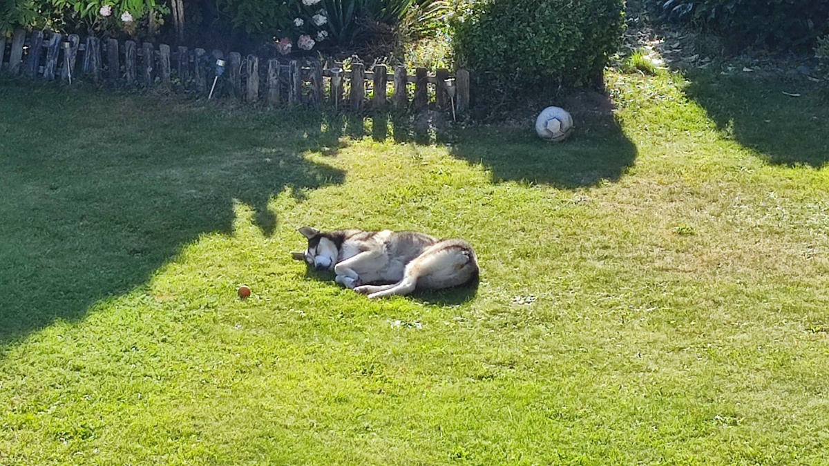 b407a07c-1af5-4a4e-a999-a76cc5b5bb6f