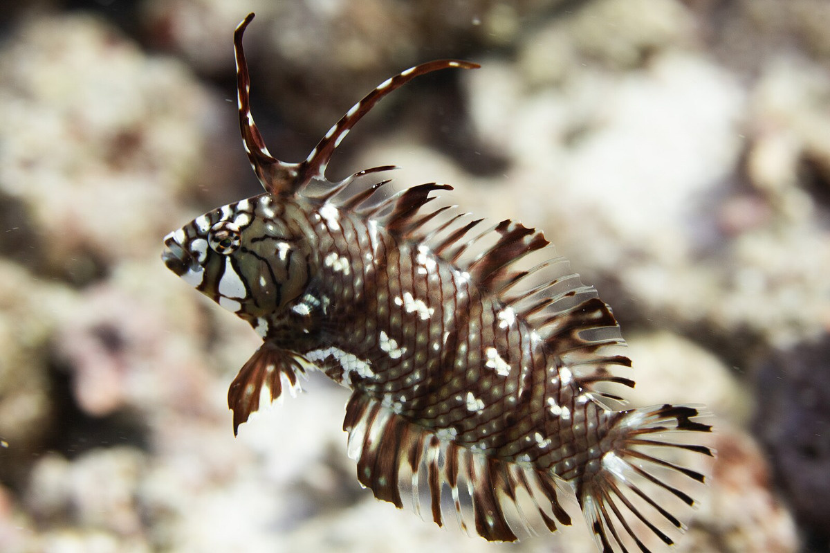 dcc4776a-c406-47b3-b63d-1b46cafcd8d3